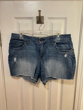 Time and Tru Faded Blue Distressed Denim Shorts